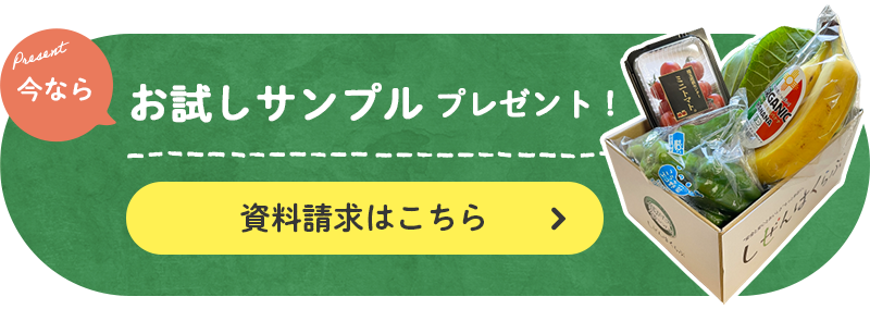 今ならお試しサンプルプレゼント！ 資料請求はこちら