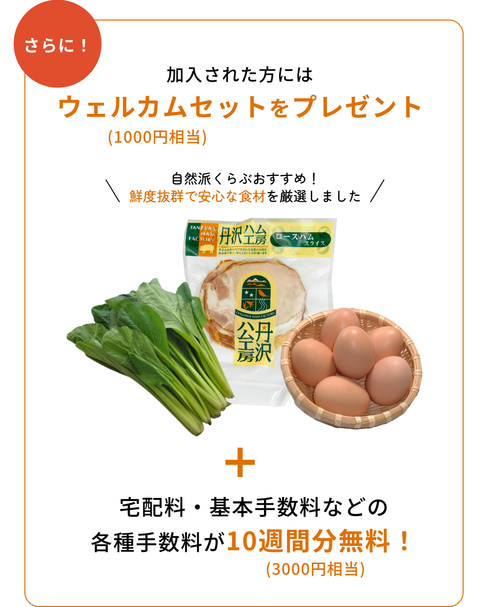 さらに！加入された方にはウェルカムセットをプレゼント＋宅配料・基本手数料などの各種手数料が10週間分無料！